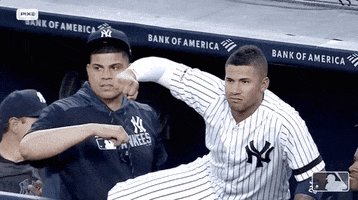 Major League Baseball Ny Yankees 2019 GIF by New York Yankees