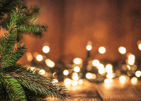 Boston Consulting Group Italy GIF