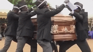 Coffin Dance GIF