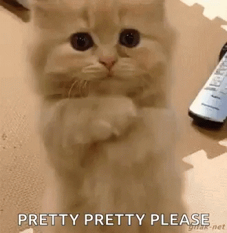 giphy.gif?cid=8fc3c897397b7c04e2ec6728690478733f1730197cfaeca3&rid=giphy.gif