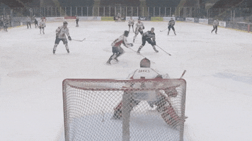Save Ice Hockey GIF by Cardiff Fire