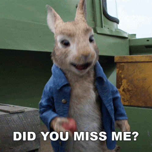 Miss Rabbit GIFs - Get the best GIF on GIPHY