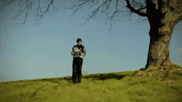 Sanat GIF