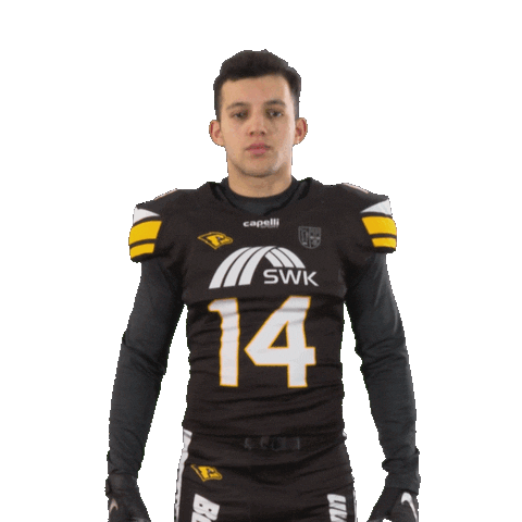 Football Sport Sticker by Krefeld Ravens