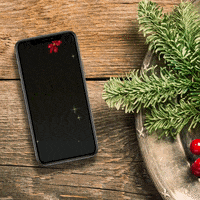 Happy Holidays Wv GIF by Wireless Vision