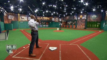 Baseball Demo GIF by MLB Network