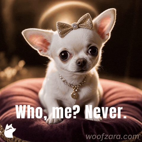 Bow Sarcasm GIF by Woofzara