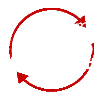 Feminismo Sticker