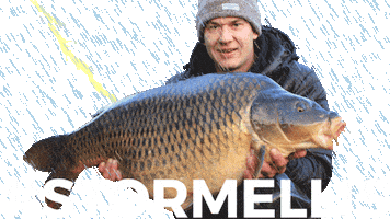 Carp Fishing Sticker by Avid Carp