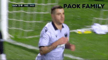 Celebration Goal GIF by PAOK FC