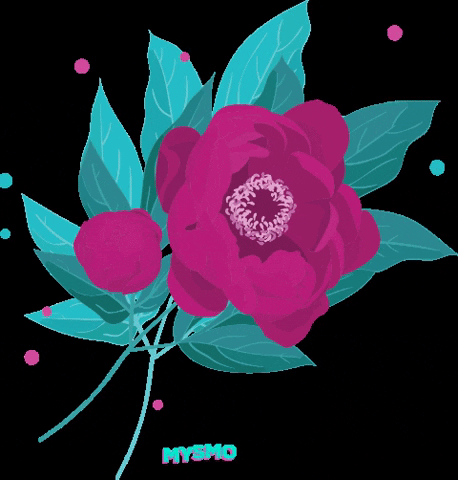 mysmo flowers floral flowerpower peony GIF