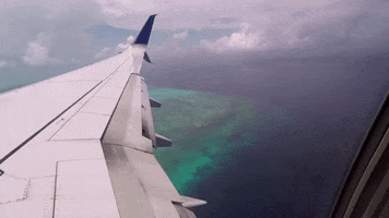 Travel GIF