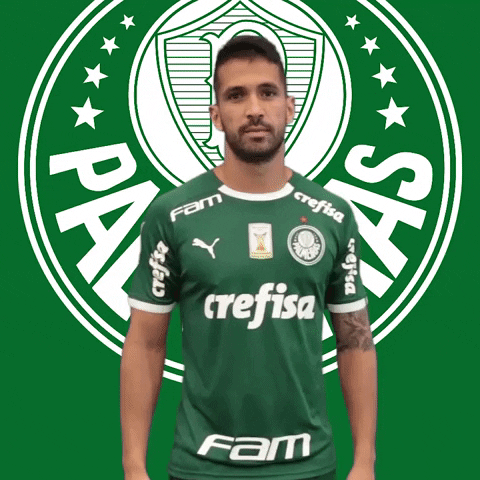Palmeiras soccer weird futebol matrix GIF