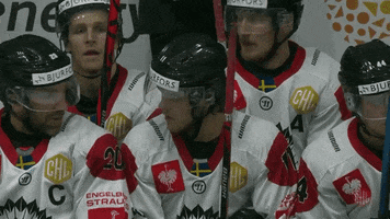 Frolunda Indians Bus GIF by Champions Hockey League