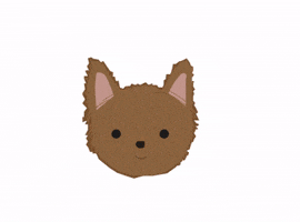 LungoyCo GIF