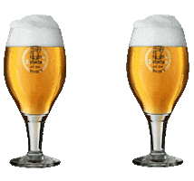 Duesseldorf Pilsner Sticker by Füchschen Alt