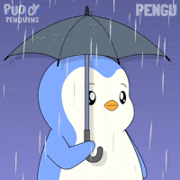 Raining Make It Rain GIF by Pudgy Penguins