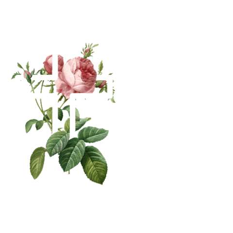 Church Easter Sticker by TheCallingChurch