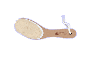 Conscious Coconut Sticker