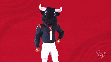 Nfl Yes GIF by Houston Texans