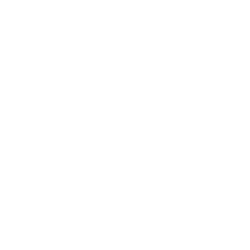 FCP Faeffikonzh Sticker