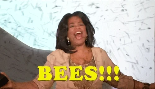 Bees GIF by Team Coco