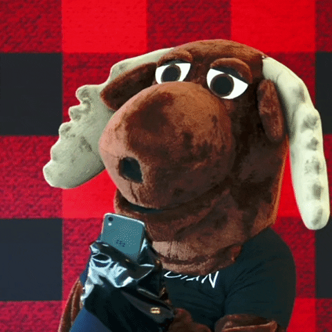 Canadian Hello GIF by choose.ca