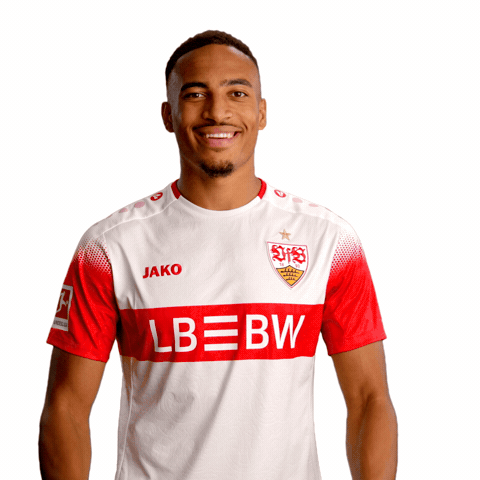 Cheer Cheering GIF by VfB Stuttgart 1893