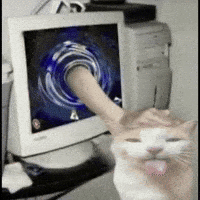 Cat Pc GIF