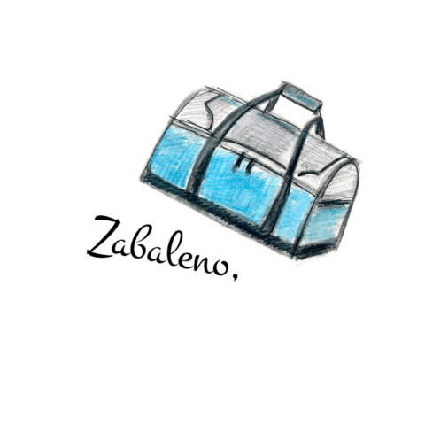 BUDE NÁS VÍC Sticker