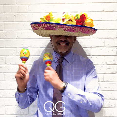 qgfloral GIF