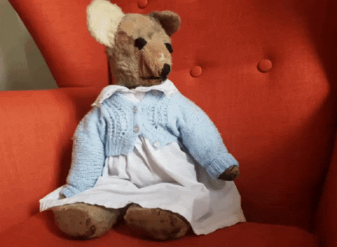 In Praise of Teddy Bears by Philippa Waring
