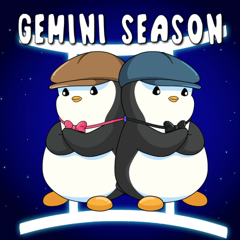 Stars Penguin GIF by Pudgy Penguins