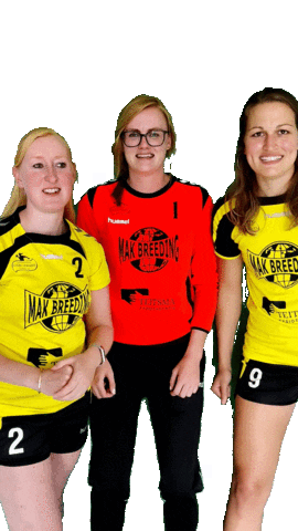 HV Geel-Zwart Sticker