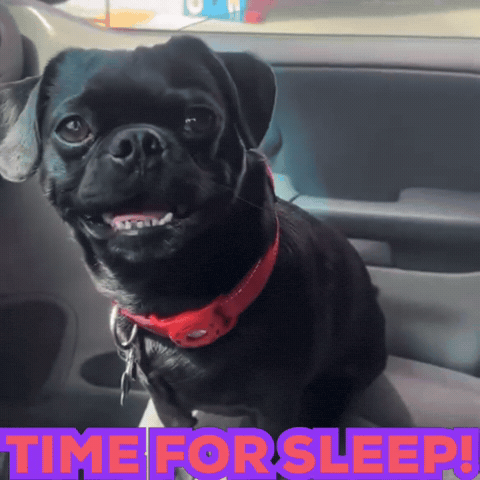 Sleepy Bed GIF