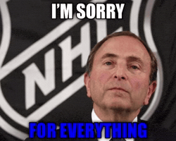 Sorry Gary Bettman GIF