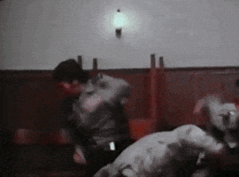 Knock Out Fight GIF