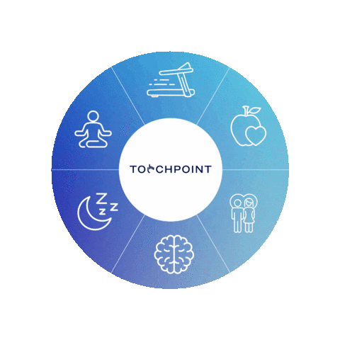 TouchPoint Solution Sticker