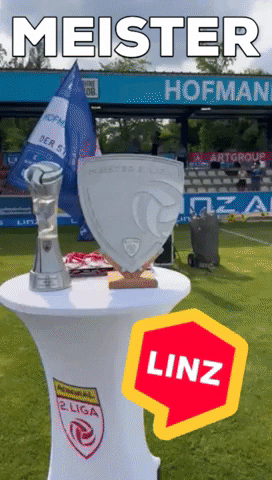 Bundesliga Wow GIF by Linz News