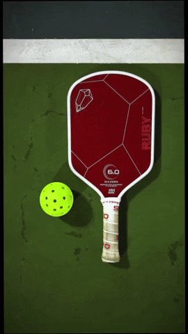 Pickle Ball The Ruby GIF