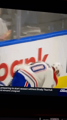 Habs GIF
