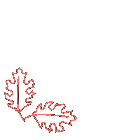 Flor Naturaleza Sticker by Blömma Comunicación Creativa