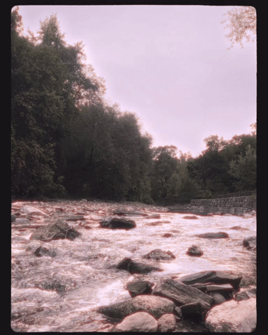Film GIF