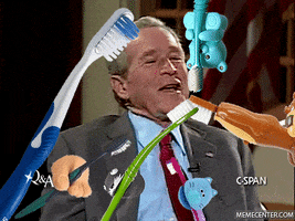 George W Bush GIF
