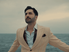 Badshah Sher GIF