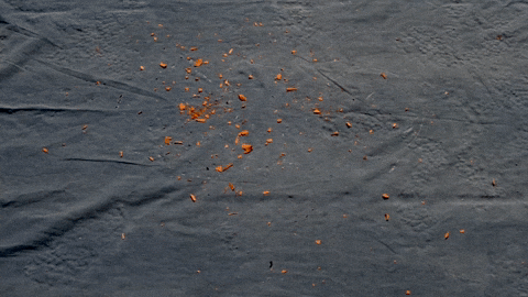 Break Smash GIF by Leandro Estrella - Find & Share on GIPHY
