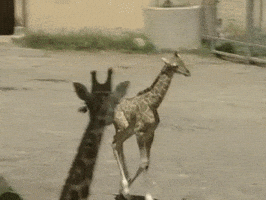 200.gif?cid=790b76115cf9cc5875396a6667cf8e83&rid=200.gif