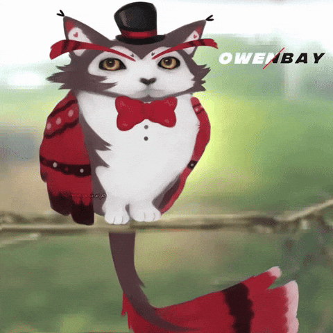 Cat Owl GIF