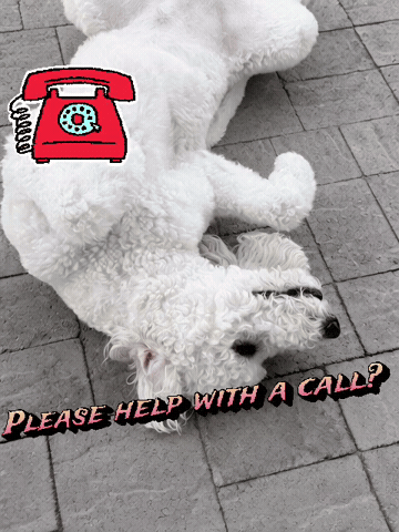 Calls GIF by Rancho Health