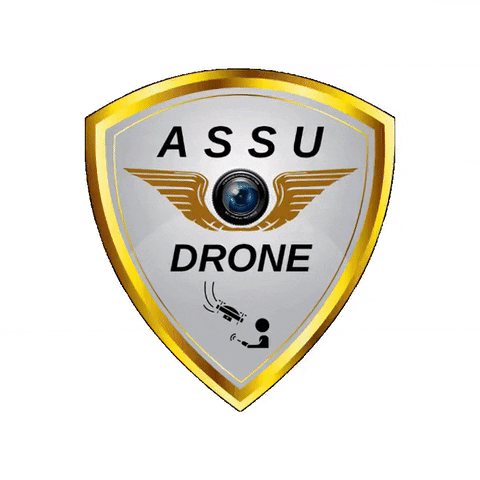 Assudrones GIF